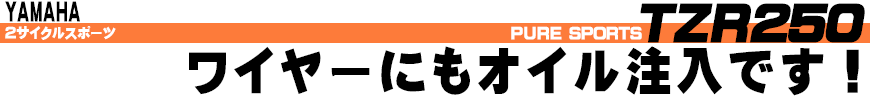 TZR250 ワイヤーにもオイル注入です！