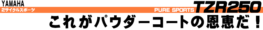 これがパウダーコートの恩恵だ！