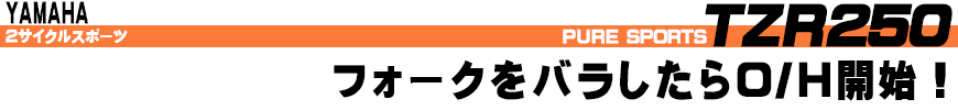 TZR250 フォークをバラしたらO/H開始！