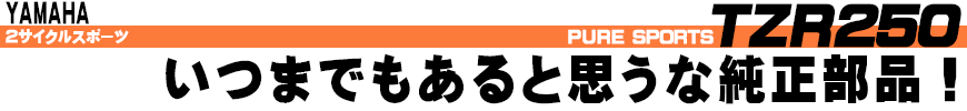 TZR250 いつまでもあると思うな純正部品！