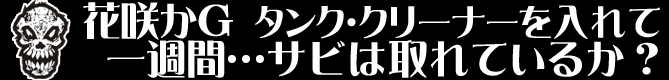 花咲かGタンククリーナーをいれて一週間...サビは取れているか？