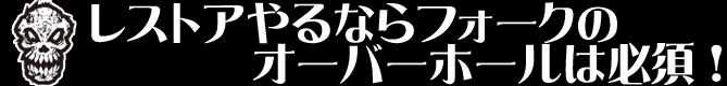 フォークのオーバーホール！