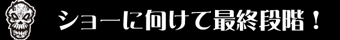 ショーに向けて最終段階！