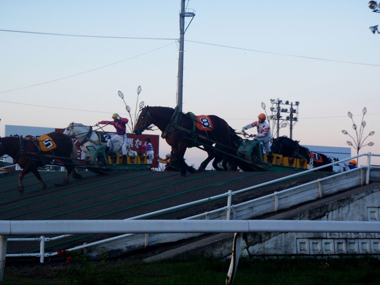 ばんえい競馬