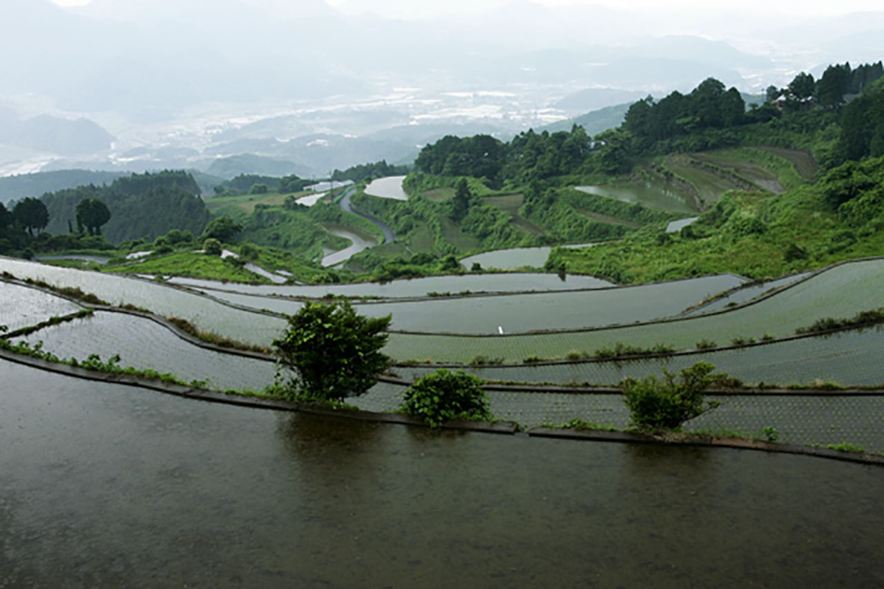 棚田