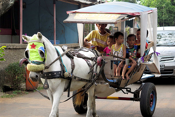 自動車部材を利用して作られた馬車