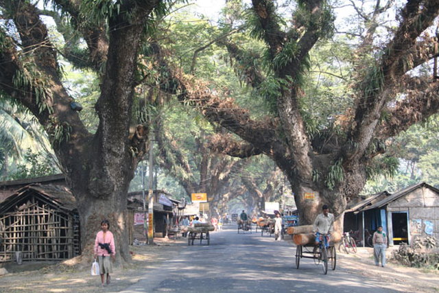 バングラデシュ国境へ向かう道沿い